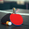 Правила при игре в настольный теннис, требования к высоте сетки и помещению, ракеткам и столам